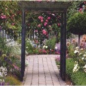 Rustic looking wrought iron arbor