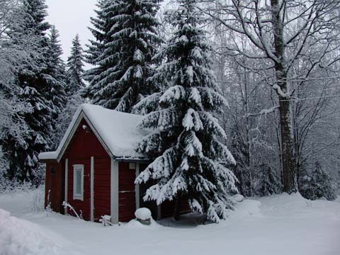 Small cabin and trees covered in snow