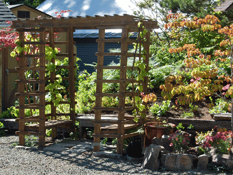 Cedar arbor with bench provides a nice place to sit in this garden